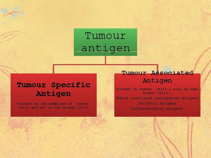 Tumour antigen Tumour Specific Antigen Present on the membrane of cancer cells and not