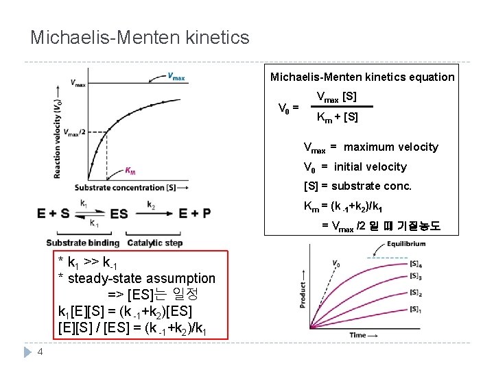 Michaelis-Menten kinetics equation V 0 = Vmax [S] Km + [S] Vmax = maximum