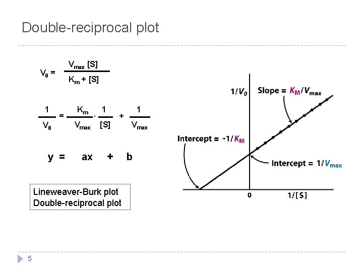 Double-reciprocal plot Vmax [S] V 0 = 1 V 0 Km + [S] =