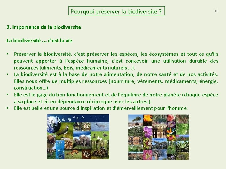 Pourquoi préserver la biodiversité ? 10 3. Importance de la biodiversité La biodiversité. .