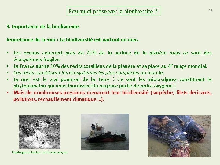 Pourquoi préserver la biodiversité ? 16 3. Importance de la biodiversité Importance de la