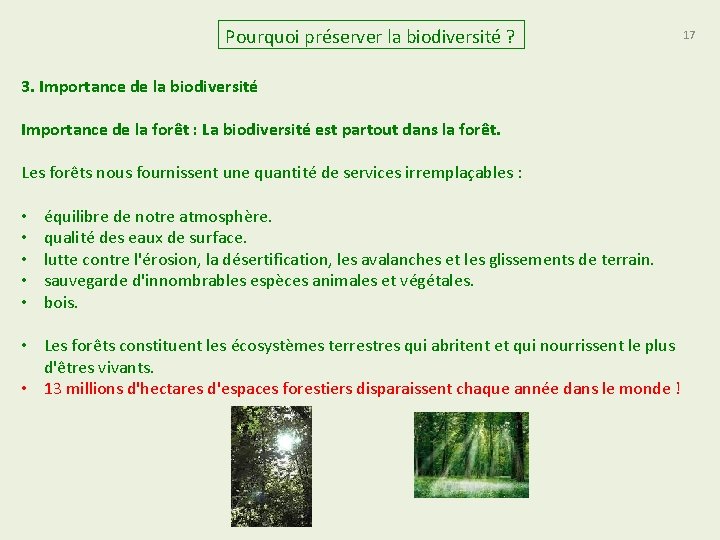 Pourquoi préserver la biodiversité ? 3. Importance de la biodiversité Importance de la forêt