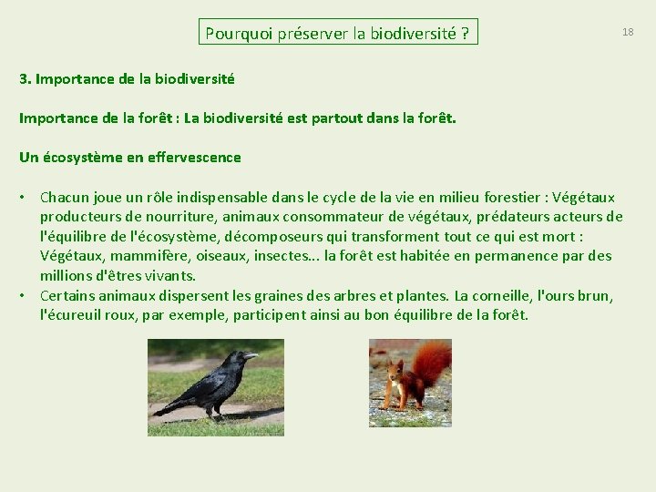 Pourquoi préserver la biodiversité ? 18 3. Importance de la biodiversité Importance de la