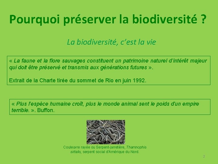 Pourquoi préserver la biodiversité ? La biodiversité, c’est la vie « La faune et