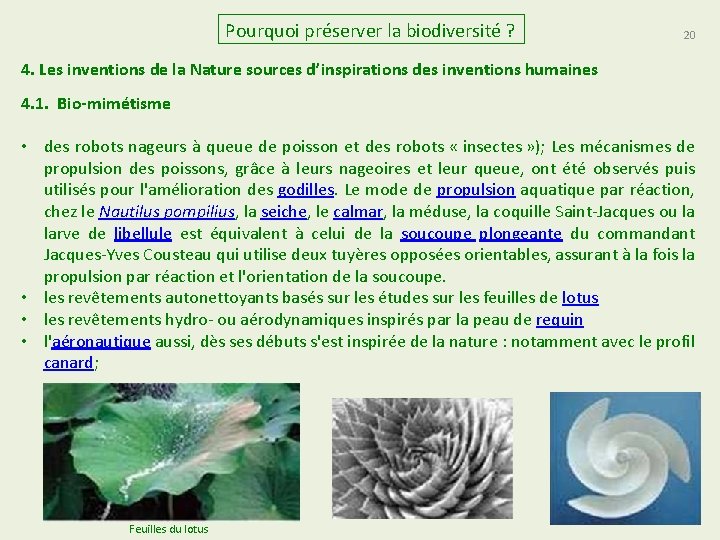 Pourquoi préserver la biodiversité ? 20 4. Les inventions de la Nature sources d’inspirations