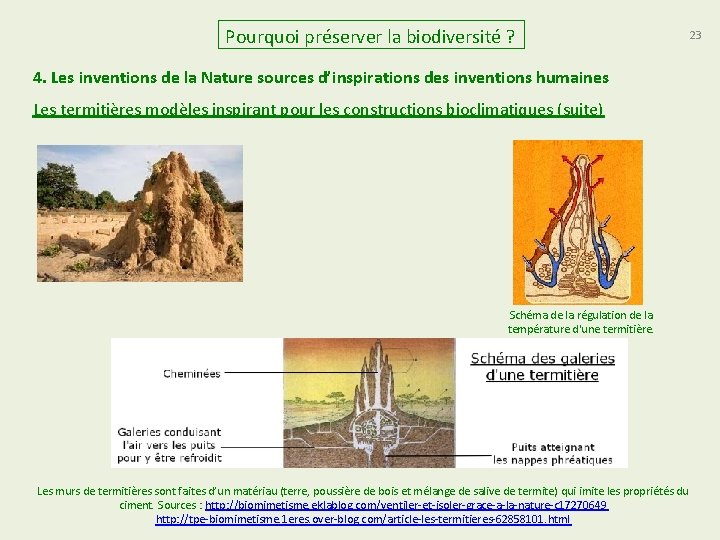 Pourquoi préserver la biodiversité ? 23 4. Les inventions de la Nature sources d’inspirations