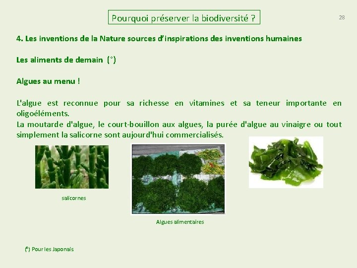 Pourquoi préserver la biodiversité ? 28 4. Les inventions de la Nature sources d’inspirations