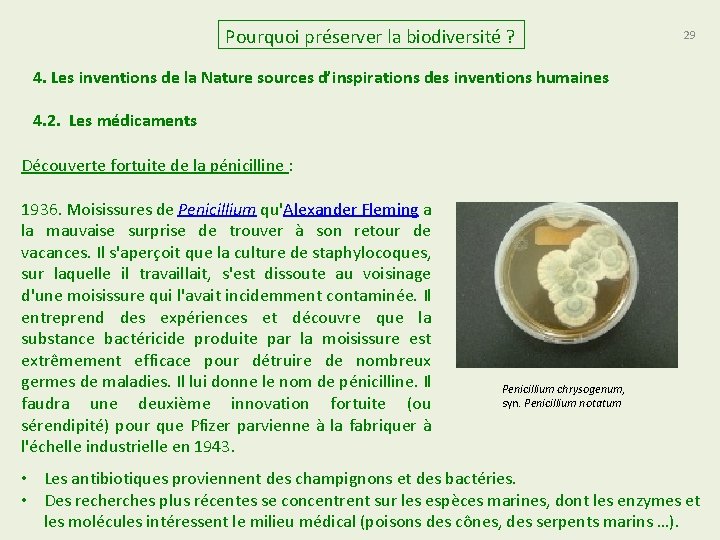 Pourquoi préserver la biodiversité ? 29 4. Les inventions de la Nature sources d’inspirations