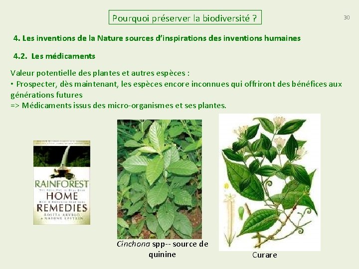 Pourquoi préserver la biodiversité ? 4. Les inventions de la Nature sources d’inspirations des