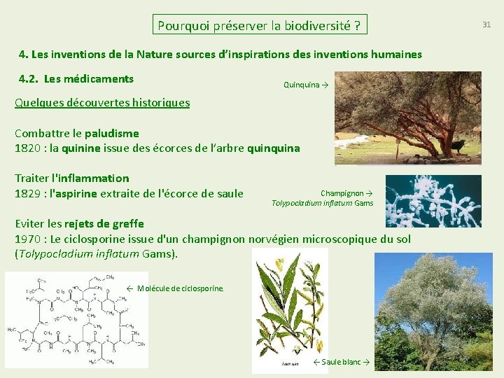 Pourquoi préserver la biodiversité ? 4. Les inventions de la Nature sources d’inspirations des