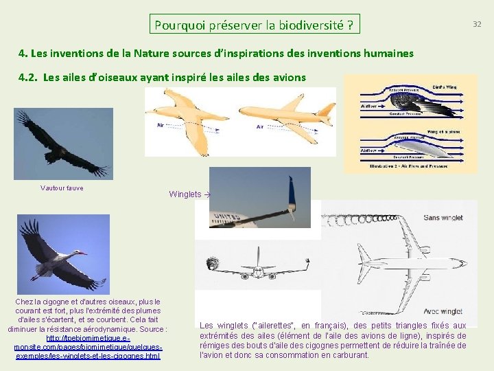 Pourquoi préserver la biodiversité ? 4. Les inventions de la Nature sources d’inspirations des