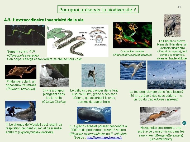 33 Pourquoi préserver la biodiversité ? 4. 3. L’extraordinaire inventivité de la vie Serpent