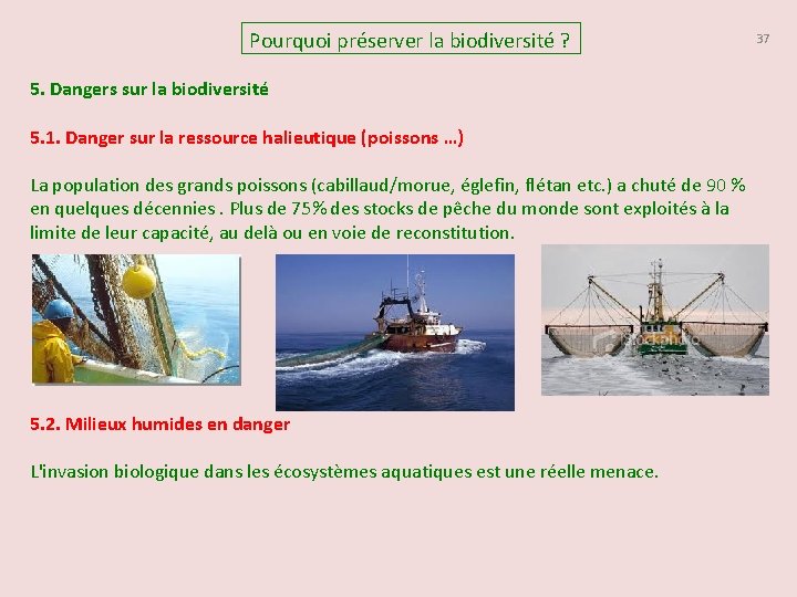 Pourquoi préserver la biodiversité ? 5. Dangers sur la biodiversité 5. 1. Danger sur