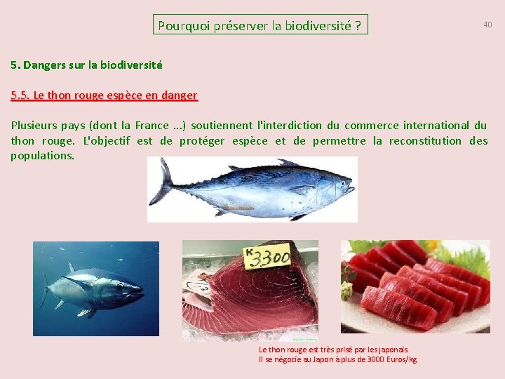 Pourquoi préserver la biodiversité ? 40 5. Dangers sur la biodiversité 5. 5. Le