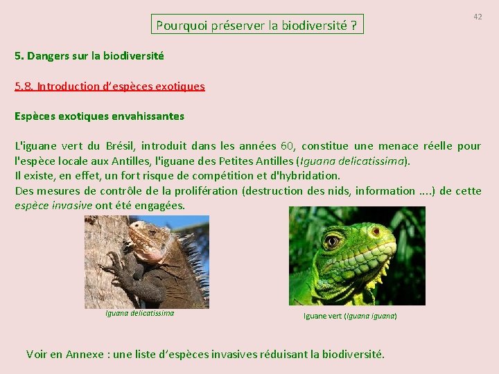 Pourquoi préserver la biodiversité ? 42 5. Dangers sur la biodiversité 5. 8. Introduction