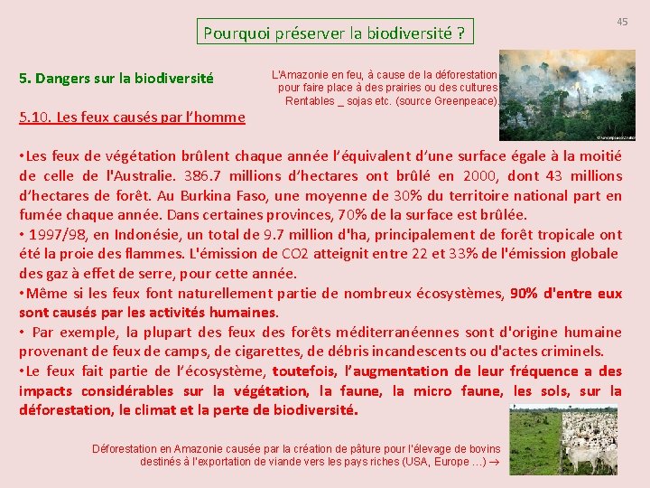 Pourquoi préserver la biodiversité ? 5. Dangers sur la biodiversité 5. 10. Les feux