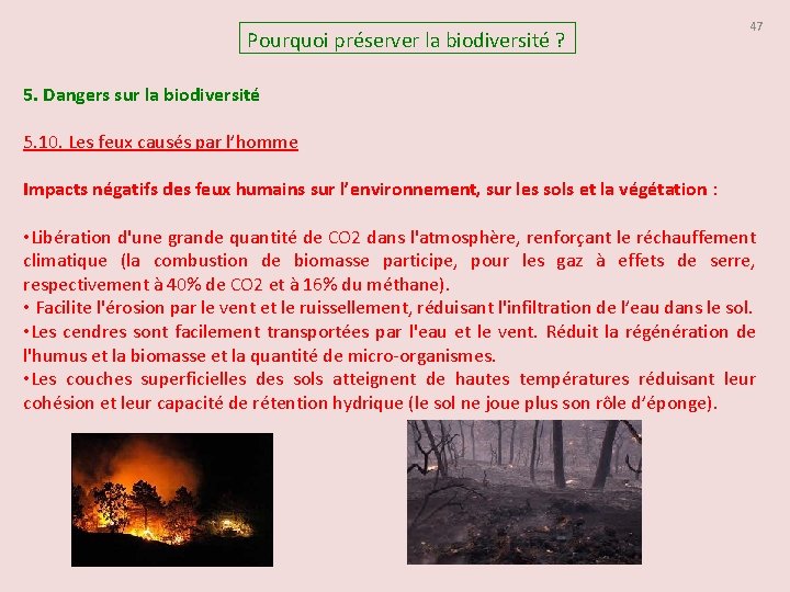 Pourquoi préserver la biodiversité ? 47 5. Dangers sur la biodiversité 5. 10. Les