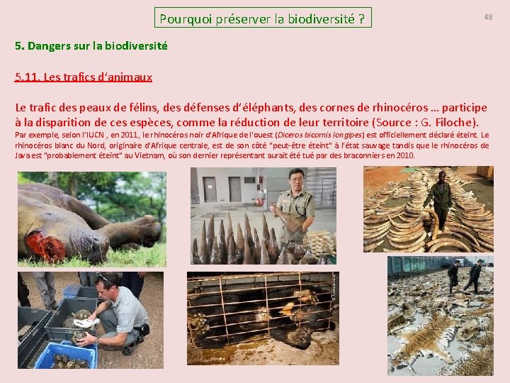 Pourquoi préserver la biodiversité ? 48 5. Dangers sur la biodiversité 5. 11. Les