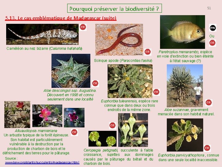 Pourquoi préserver la biodiversité ? 51 5. 13. Le cas emblématique de Madagascar (suite)