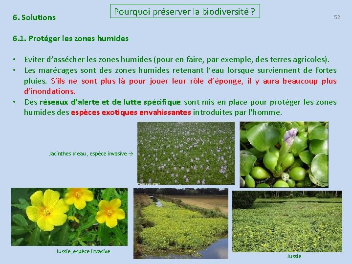 Pourquoi préserver la biodiversité ? 6. Solutions 52 6. 1. Protéger les zones humides