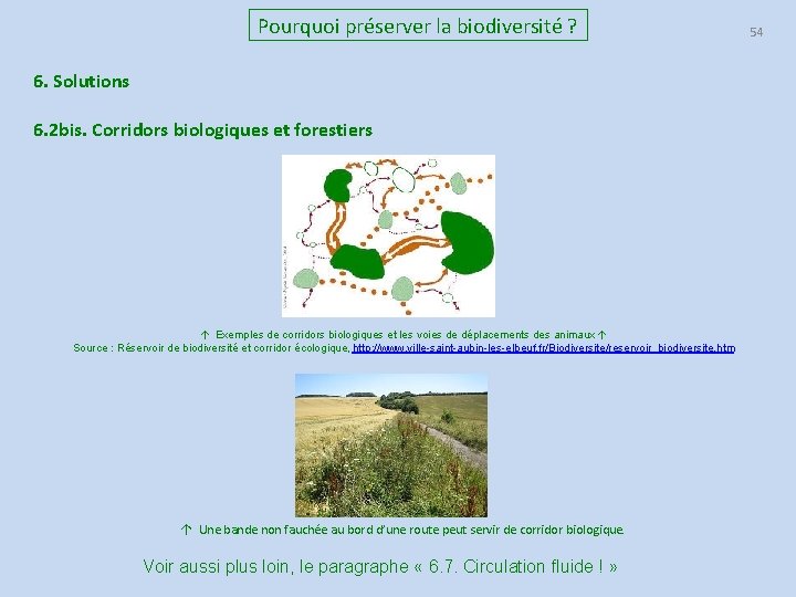 Pourquoi préserver la biodiversité ? 6. Solutions 6. 2 bis. Corridors biologiques et forestiers