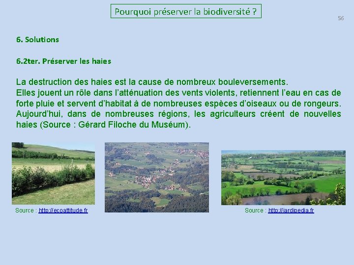 Pourquoi préserver la biodiversité ? 56 6. Solutions 6. 2 ter. Préserver les haies