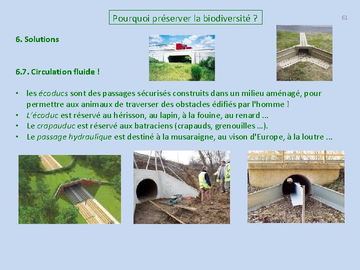 Pourquoi préserver la biodiversité ? 6. Solutions 6. 7. Circulation fluide ! • les
