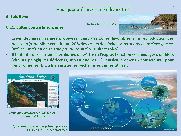 Pourquoi préserver la biodiversité ? 66 6. Solutions 6. 11. Lutter contre la surpêche