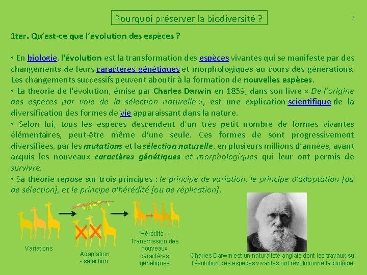 Pourquoi préserver la biodiversité ? 7 1 ter. Qu’est-ce que l’évolution des espèces ?