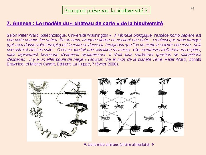 Pourquoi préserver la biodiversité ? 74 7. Annexe : Le modèle du « château