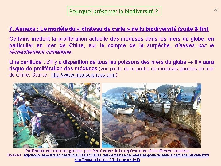 Pourquoi préserver la biodiversité ? 75 7. Annexe : Le modèle du « château