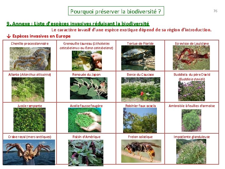 Pourquoi préserver la biodiversité ? 76 9. Annexe : Liste d’espèces invasives réduisant la