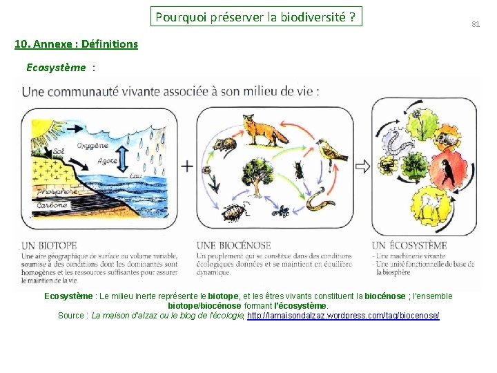 Pourquoi préserver la biodiversité ? 10. Annexe : Définitions Ecosystème : Le milieu inerte