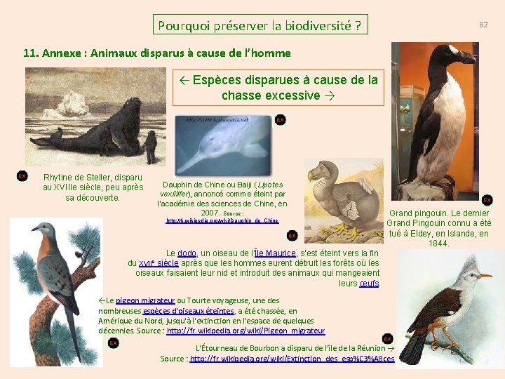 Pourquoi préserver la biodiversité ? 82 11. Annexe : Animaux disparus à cause de