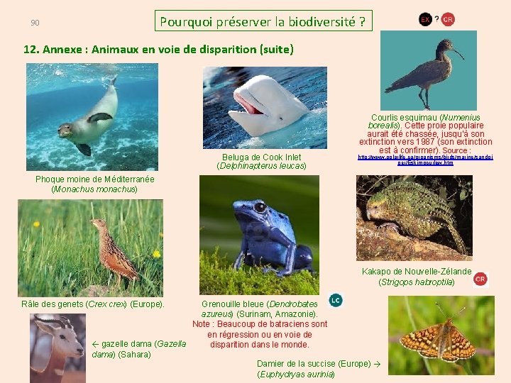 Pourquoi préserver la biodiversité ? 90 12. Annexe : Animaux en voie de disparition