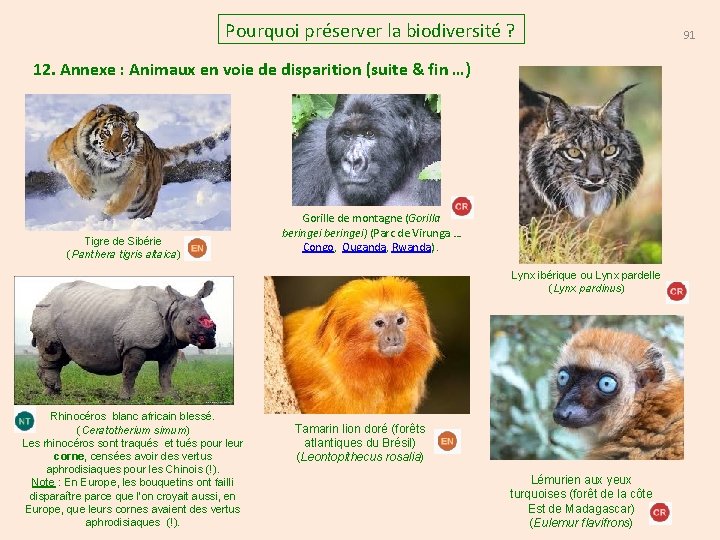 Pourquoi préserver la biodiversité ? 12. Annexe : Animaux en voie de disparition (suite