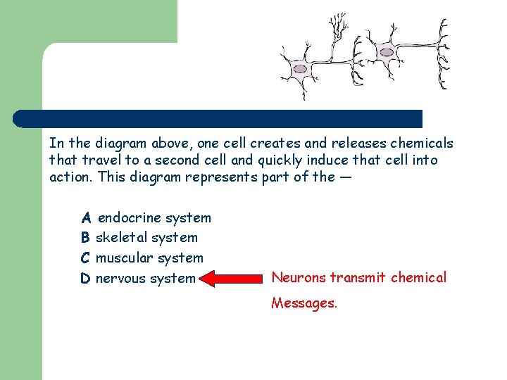 In the diagram above, one cell creates and releases chemicals that travel to a