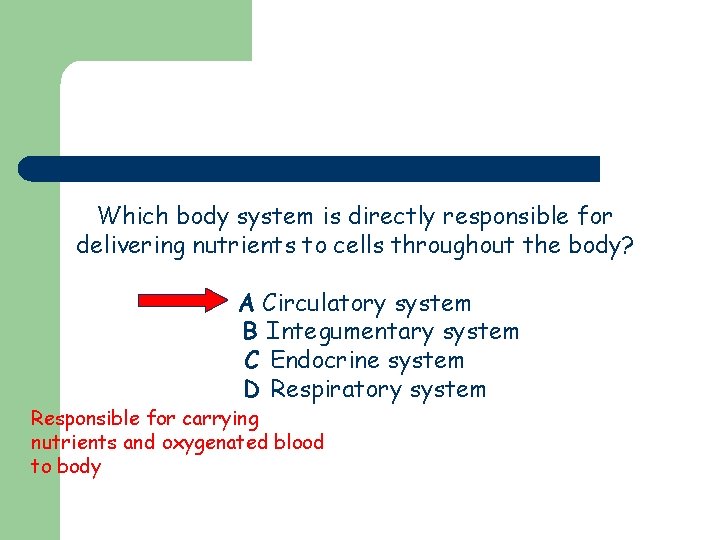 Which body system is directly responsible for delivering nutrients to cells throughout the body?