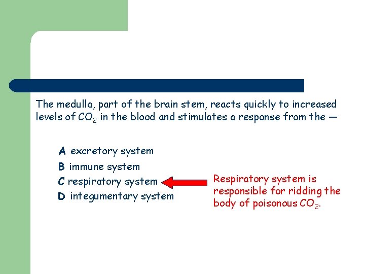 The medulla, part of the brain stem, reacts quickly to increased levels of CO