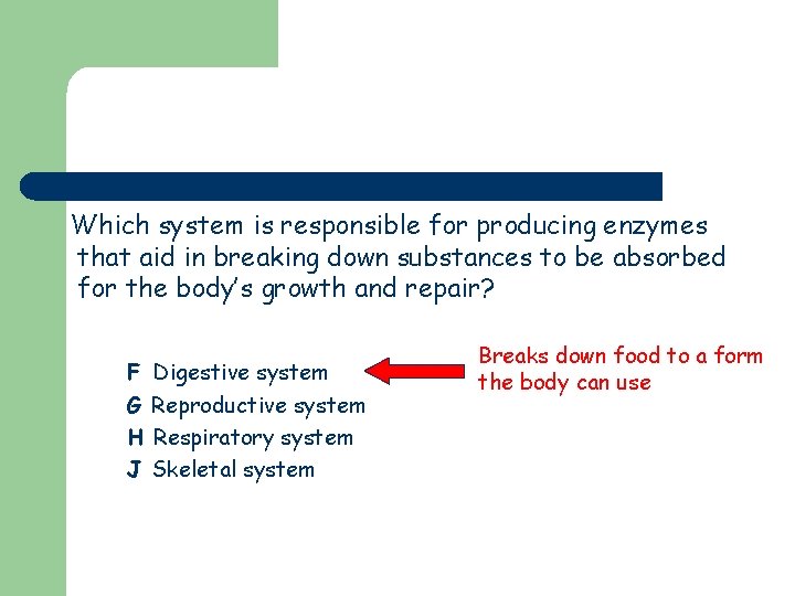 Which system is responsible for producing enzymes that aid in breaking down substances to