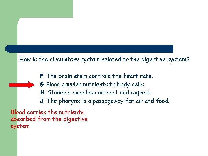 How is the circulatory system related to the digestive system? F The brain stem