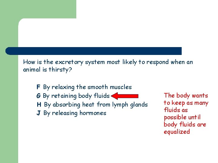 How is the excretory system most likely to respond when an animal is thirsty?