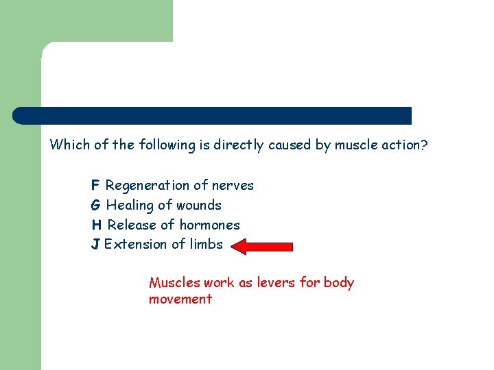 Which of the following is directly caused by muscle action? F Regeneration of nerves