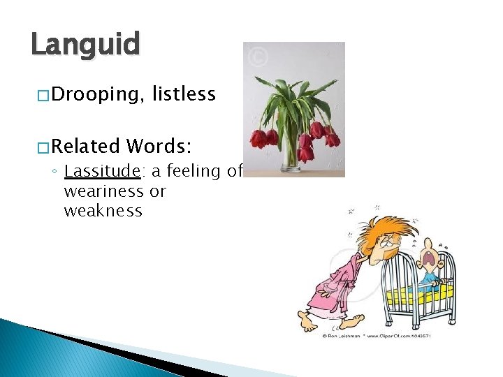 Languid � Drooping, � Related listless Words: ◦ Lassitude: a feeling of weariness or