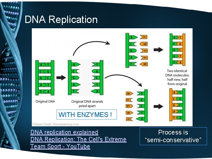DNA Replication WITH ENZYMES ! DNA replication explained DNA Replication: The Cell's Extreme Team