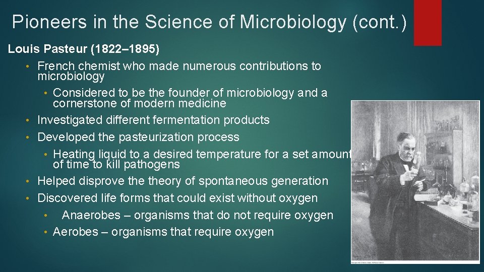 Pioneers in the Science of Microbiology (cont. ) Louis Pasteur (1822– 1895) • French
