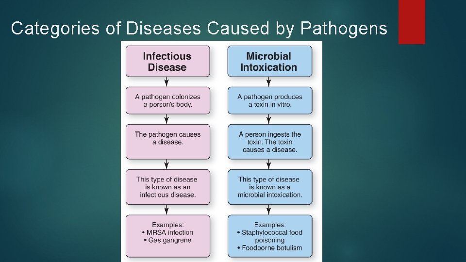 Categories of Diseases Caused by Pathogens 