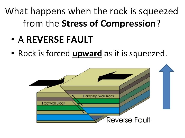 What happens when the rock is squeezed from the Stress of Compression? • A What happens when the rock is squeezed from the Stress of Compression? • A