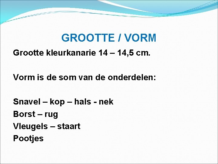 GROOTTE / VORM Grootte kleurkanarie 14 – 14, 5 cm. Vorm is de som