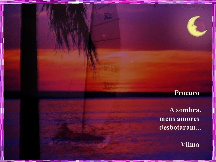 Procuro A sombra. meus amores desbotaram. . . Vilma 